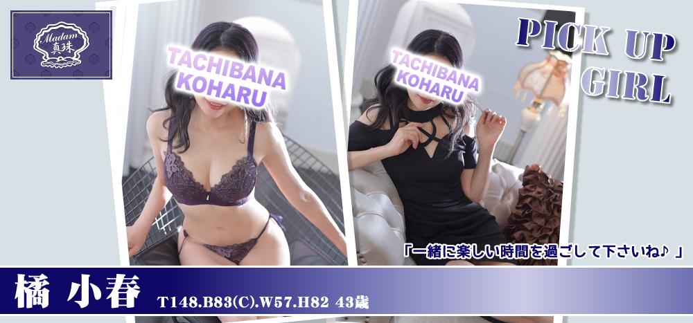 橘　小春の写真